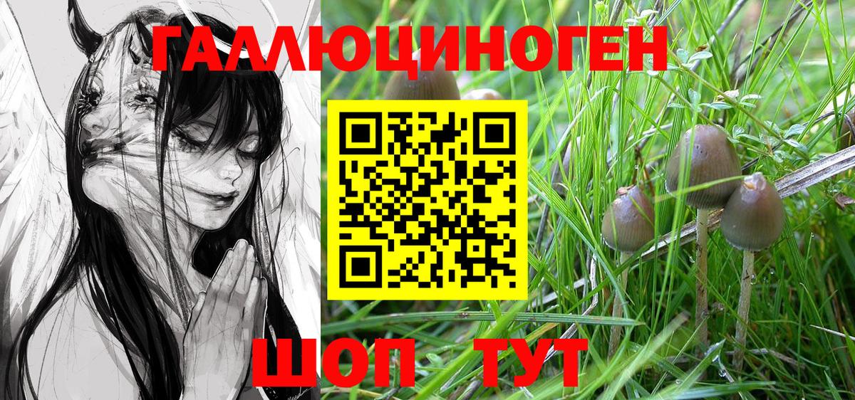 Галлюциногенные грибы MAGIC MUSHROOMS Советский