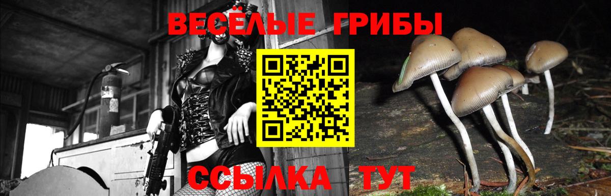 Галлюциногенные грибы ЛСД  Галлюциногенные грибы ЛСД  Советский  Вход с VPN 